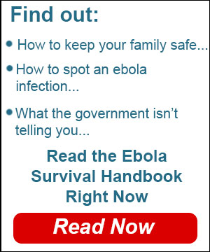 Ebola Survival Guide - Expert Tips, Strategies, And Supply Lists From The Foremost Prepardeness Professionals
